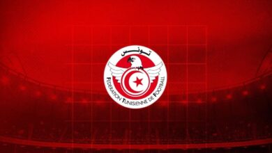 بإشراف الهياكل الدولية : تونس تحتضن ملتقى تكوين لتأمين ملاعب كرة القدم